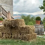 Farm stay Azienda Agricola Il Querceto *