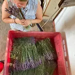 Azienda Agricola Il Querceto Farma Marsicovetere