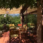 Azienda Agricola Il Querceto *