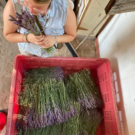 Azienda Agricola Il Querceto Κατάλυμα σε φάρμα Marsicovetere