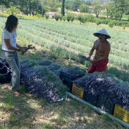 Azienda Agricola Il Querceto * Marsicovetere