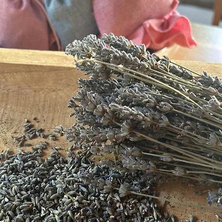 Azienda Agricola Il Querceto Farm stay