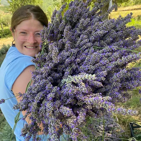 Farm stay Azienda Agricola Il Querceto