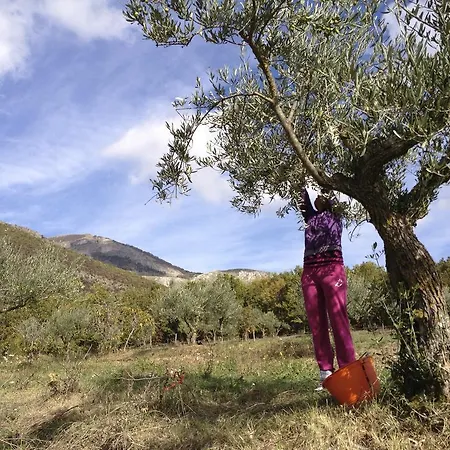 Κατάλυμα σε φάρμα Azienda Agricola Il Querceto *