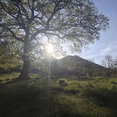 Farm stay Azienda Agricola Il Querceto Marsicovetere