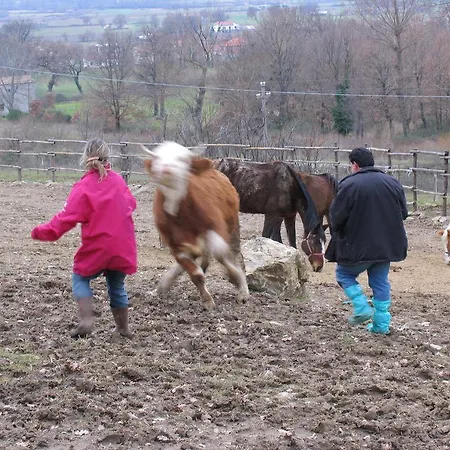Farm stay Azienda Agricola Il Querceto Marsicovetere