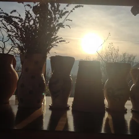 Azienda Agricola Il Querceto