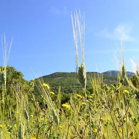 Azienda Agricola Il Querceto Κατάλυμα σε φάρμα Marsicovetere