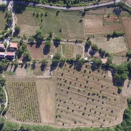Azienda Agricola Il Querceto Farmház *