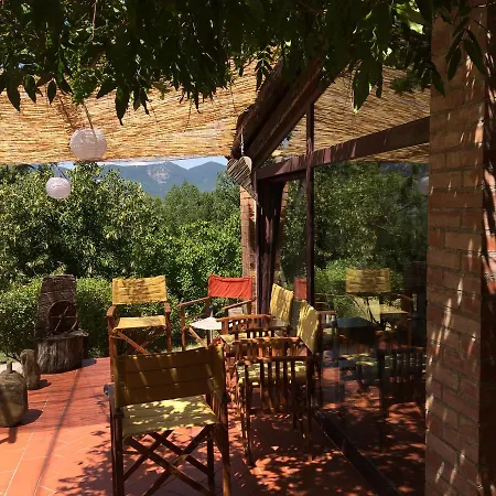 Azienda Agricola Il Querceto *