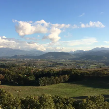 Azienda Agricola Il Querceto *