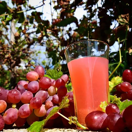 Farm stay Azienda Agricola Il Querceto *