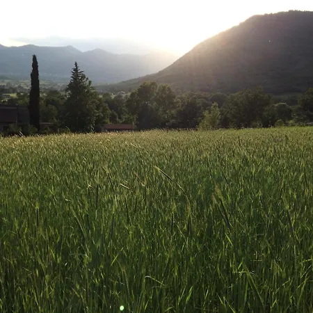 Farm stay Azienda Agricola Il Querceto *