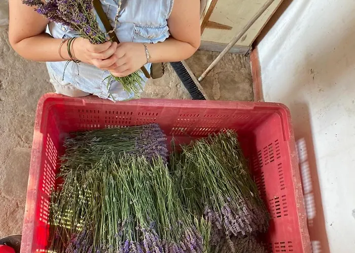 Azienda Agricola Il Querceto Фермерский дом Marsicovetere