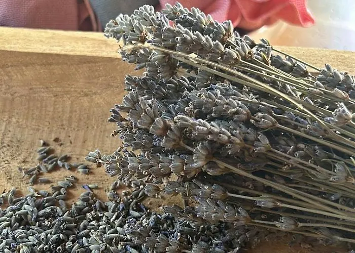 Azienda Agricola Il Querceto Фермерский дом