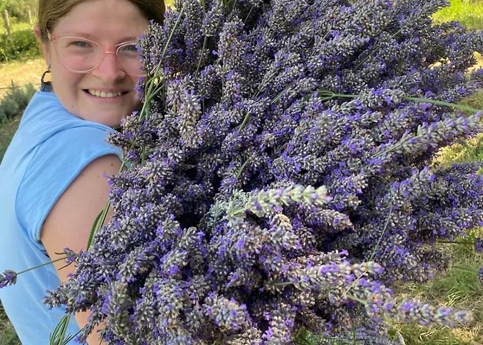 Фермерский дом Azienda Agricola Il Querceto