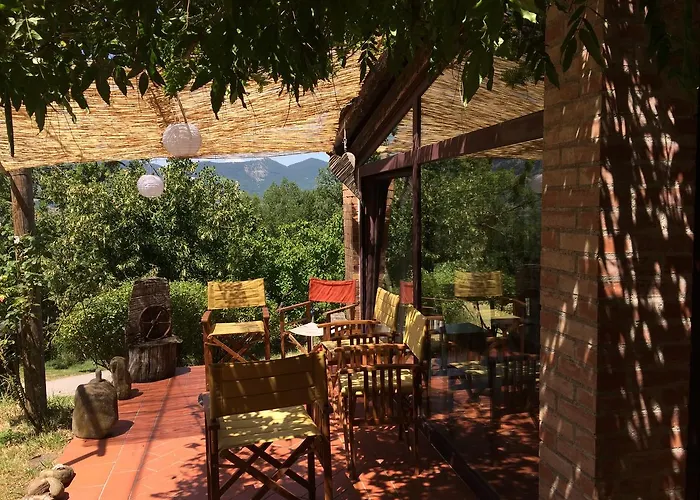 Azienda Agricola Il Querceto *