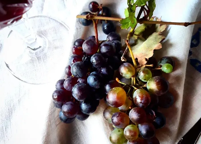 Azienda Agricola Il Querceto Фермерский дом